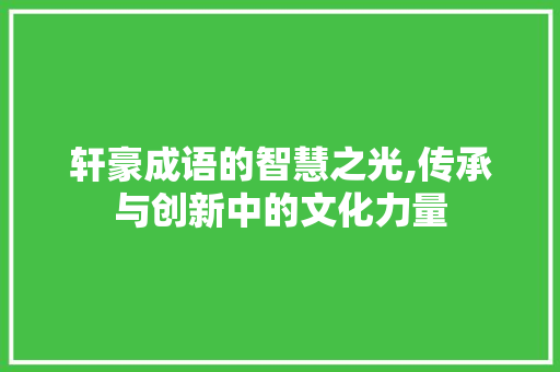 轩豪成语的智慧之光,传承与创新中的文化力量