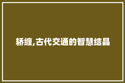 轿缠,古代交通的智慧结晶