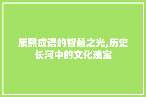 辰熙成语的智慧之光,历史长河中的文化瑰宝 生活感悟