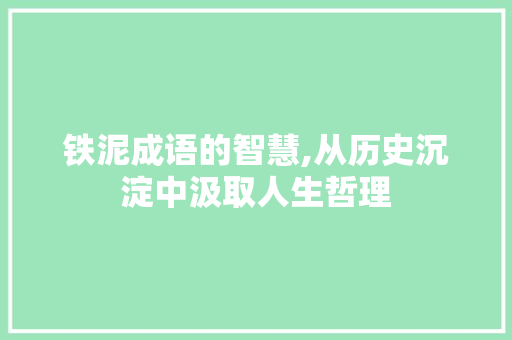铁泥成语的智慧,从历史沉淀中汲取人生哲理