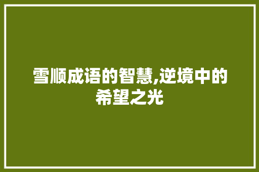 雪顺成语的智慧,逆境中的希望之光