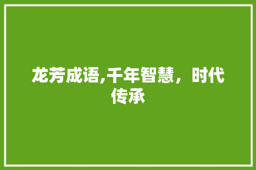 龙芳成语,千年智慧，时代传承