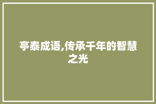 亭泰成语,传承千年的智慧之光