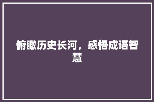 俯瞰历史长河，感悟成语智慧