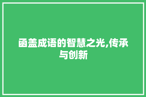 函盖成语的智慧之光,传承与创新