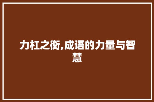 力杠之衡,成语的力量与智慧