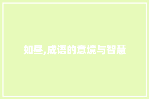 如昼,成语的意境与智慧