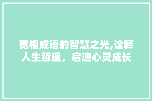宽相成语的智慧之光,诠释人生哲理，启迪心灵成长 工作类