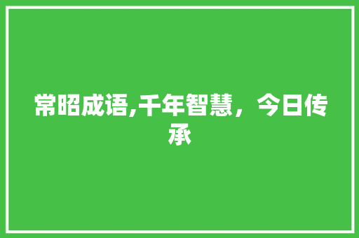 常昭成语,千年智慧，今日传承