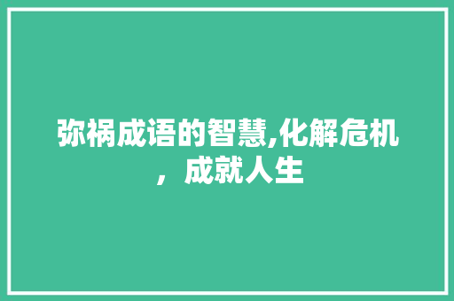 弥祸成语的智慧,化解危机，成就人生 工作报告