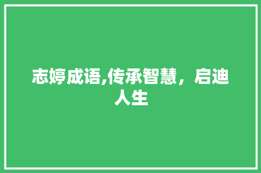 志婷成语,传承智慧，启迪人生