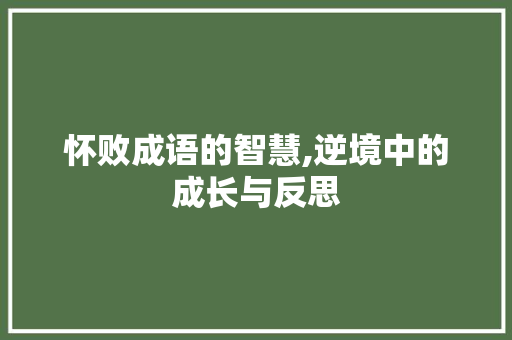 怀败成语的智慧,逆境中的成长与反思