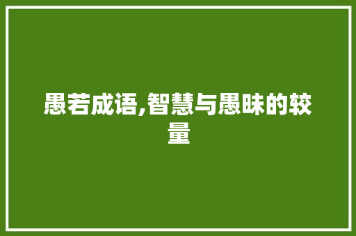愚若成语,智慧与愚昧的较量