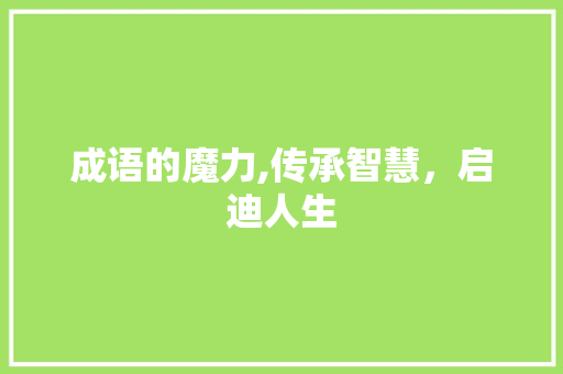 成语的魔力,传承智慧，启迪人生 工作类