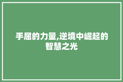 手屈的力量,逆境中崛起的智慧之光