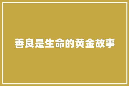 放搏人生，搏击未来_成语“放搏”的现代解读与应用