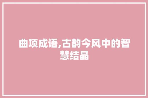 曲项成语,古韵今风中的智慧结晶