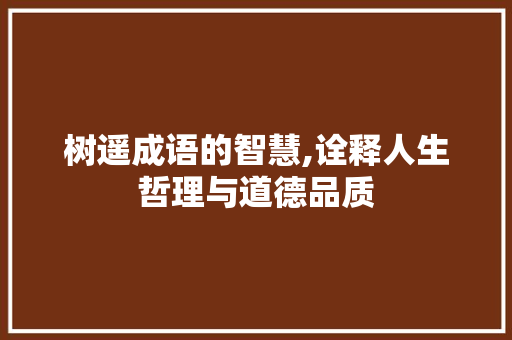 树遥成语的智慧,诠释人生哲理与道德品质