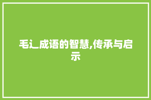 毛辶成语的智慧,传承与启示