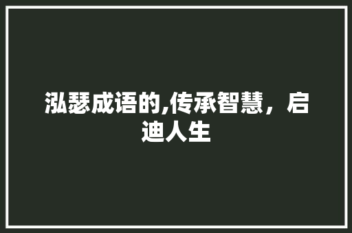 泓瑟成语的,传承智慧，启迪人生
