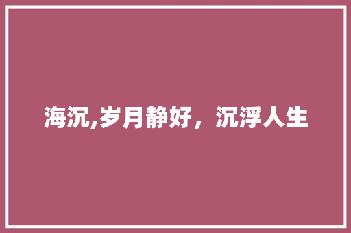 海沉,岁月静好，沉浮人生