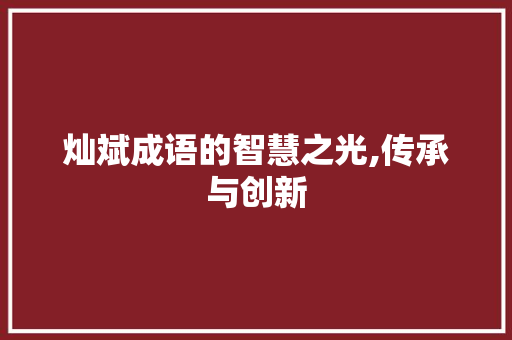 灿斌成语的智慧之光,传承与创新
