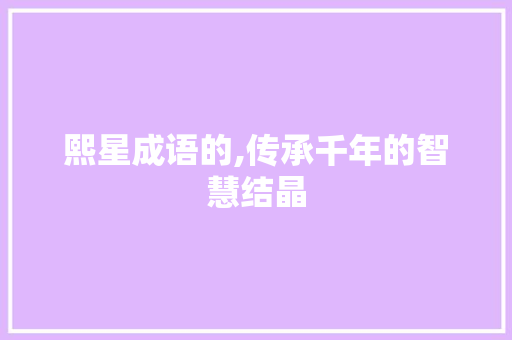 熙星成语的,传承千年的智慧结晶