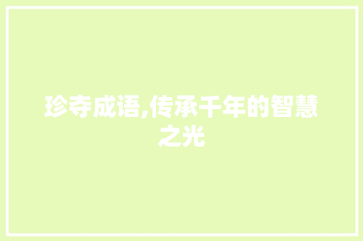 珍夺成语,传承千年的智慧之光