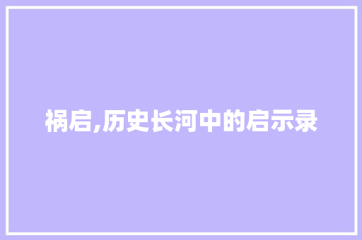 祸启,历史长河中的启示录