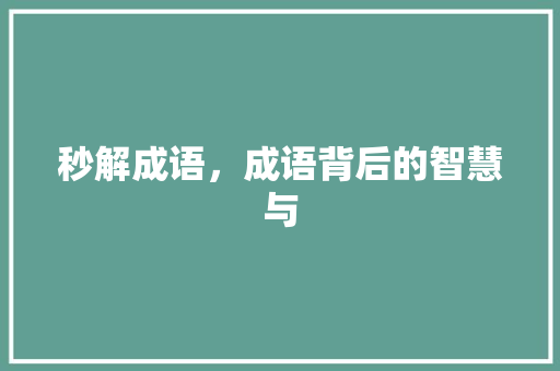 秒解成语，成语背后的智慧与