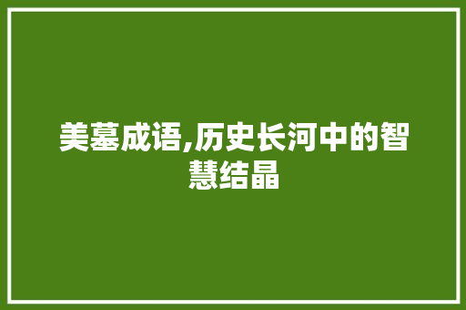 美墓成语,历史长河中的智慧结晶