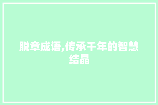 脱章成语,传承千年的智慧结晶 特写稿