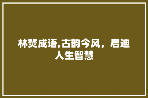 林焚成语,古韵今风，启迪人生智慧