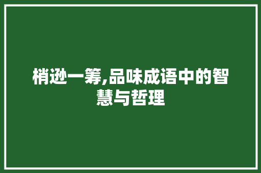 梢逊一筹,品味成语中的智慧与哲理