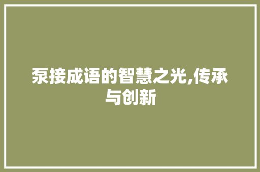 泵接成语的智慧之光,传承与创新