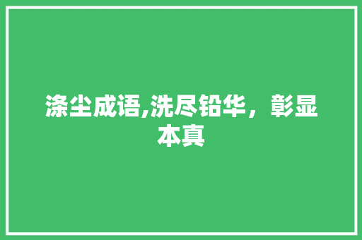 涤尘成语,洗尽铅华，彰显本真