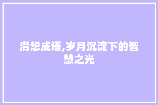 潸想成语,岁月沉淀下的智慧之光