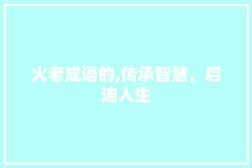 火老成语的,传承智慧，启迪人生