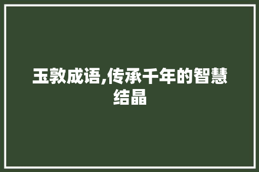 玉敦成语,传承千年的智慧结晶