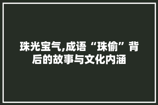 珠光宝气,成语“珠偷”背后的故事与文化内涵