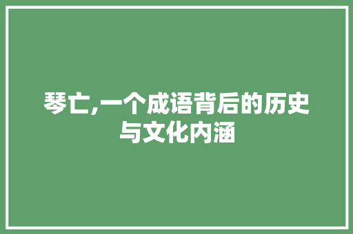 琴亡,一个成语背后的历史与文化内涵