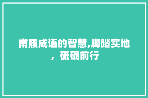 甫履成语的智慧,脚踏实地，砥砺前行