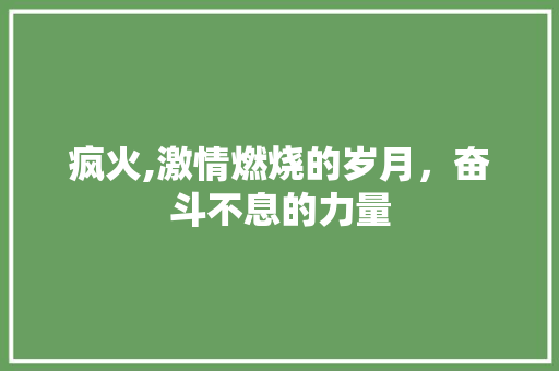 疯火,激情燃烧的岁月，奋斗不息的力量