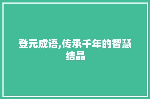 登元成语,传承千年的智慧结晶