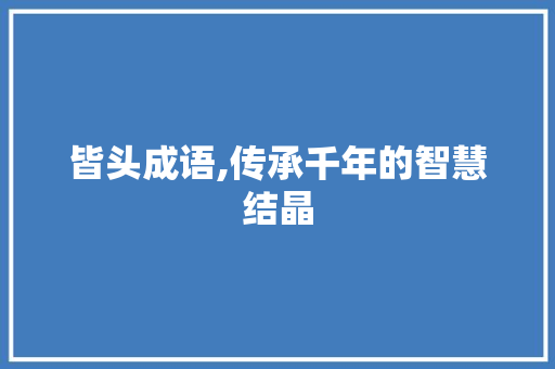 皆头成语,传承千年的智慧结晶 特写稿