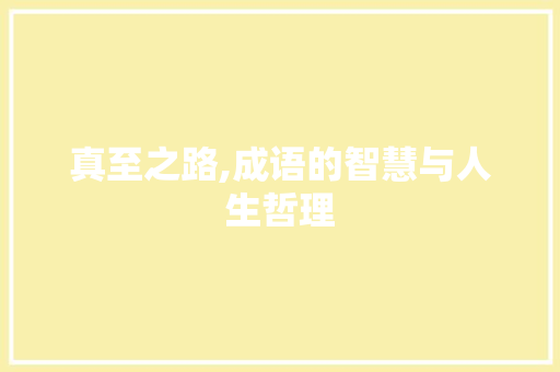 真至之路,成语的智慧与人生哲理