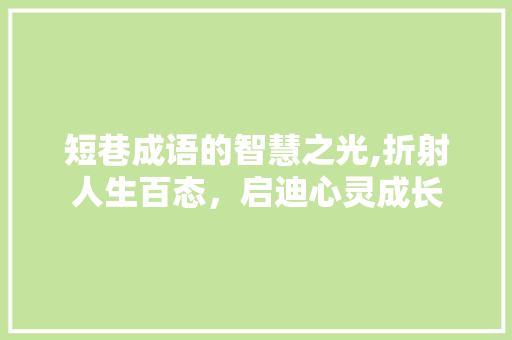 短巷成语的智慧之光,折射人生百态，启迪心灵成长