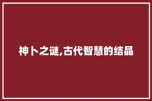 神卜之谜,古代智慧的结晶