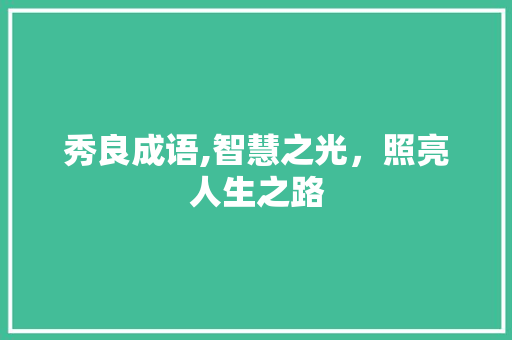 秀良成语,智慧之光，照亮人生之路