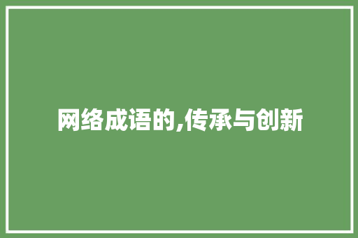 网络成语的,传承与创新